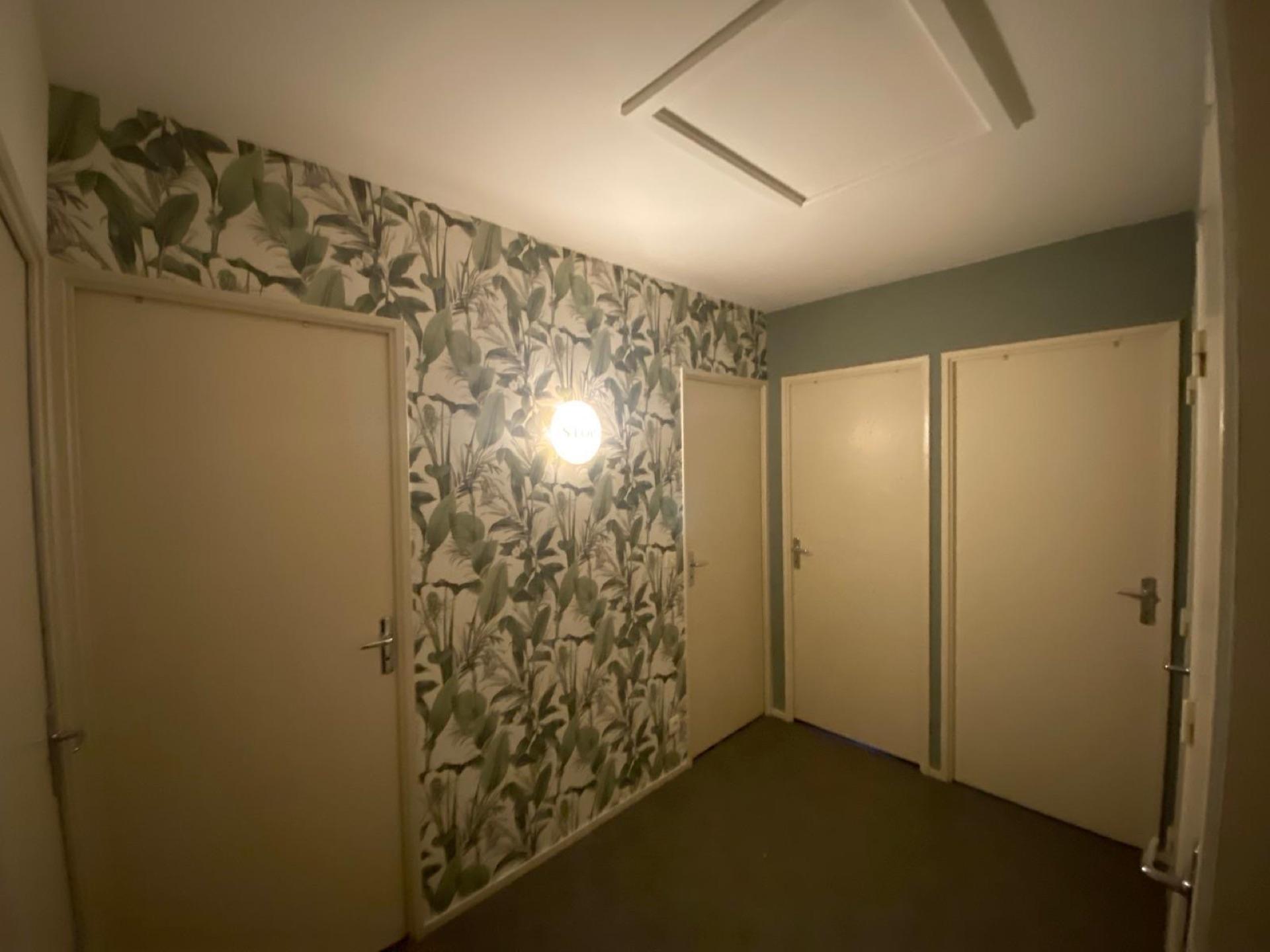 Couloir et entrée habillés d'un papier peint végétal, portes et plafond repeints